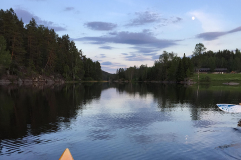 Oslo: Guided Kayak Tour on Lake Langen with Lunch
