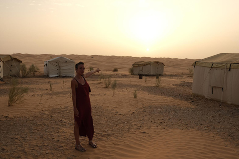 Hammamet: 3-Day Djerba, El Djem, and Sahara Desert Tour