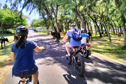 Autentyczna wycieczka z przewodnikiem na rowerze elektrycznym po północnym wybrzeżu