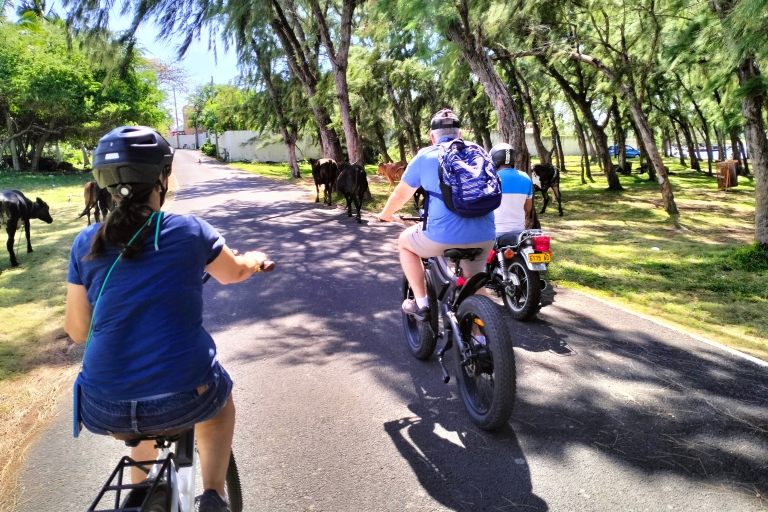 Auténtico Tour Guiado en E-bike por la Costa Norte