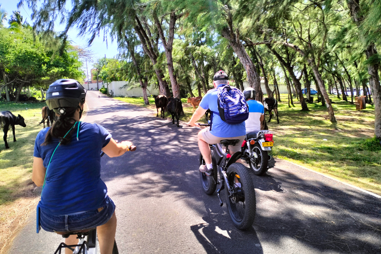 Autentyczna wycieczka z przewodnikiem na rowerze elektrycznym po północnym wybrzeżu