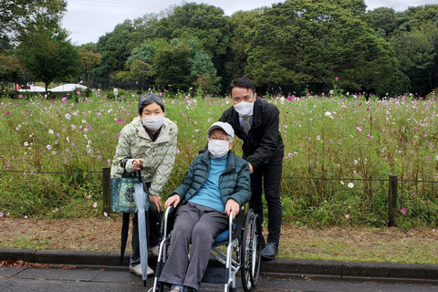 Full Day Private Tokyo Tour for Wheelchair Users