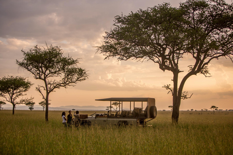 Serengeti: 7-tägige Great Migration Safari mit Flügen