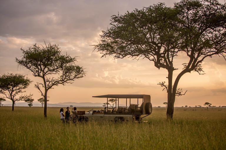 Serengeti: 7-daagse Grote Migratie safari met vluchten