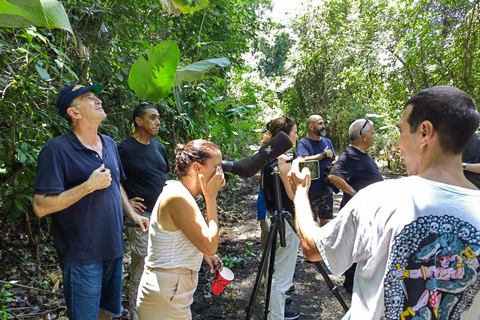 Manuel Antonio Park: Guidad tur för att se djur och strandtidPrivat tur