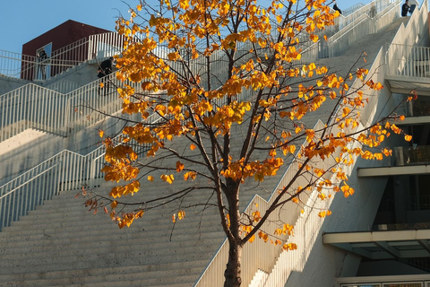 Tagesausflug nach Tirana &amp; Kruja