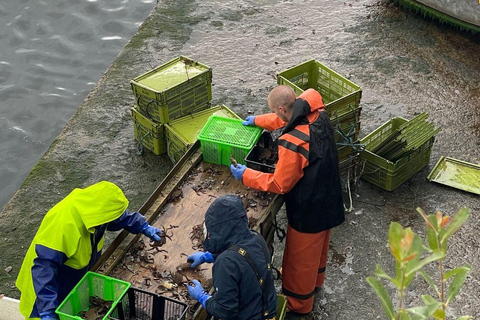 Au départ d'Inverness : excursion d'une journée sur l'île de Skye et au château d'Eilean Donan