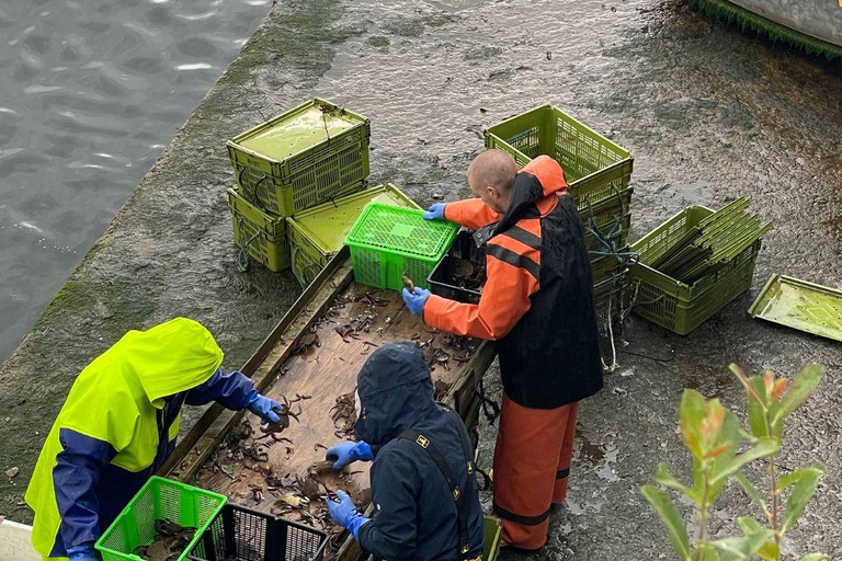 Au départ d'Inverness : excursion d'une journée sur l'île de Skye et au château d'Eilean Donan