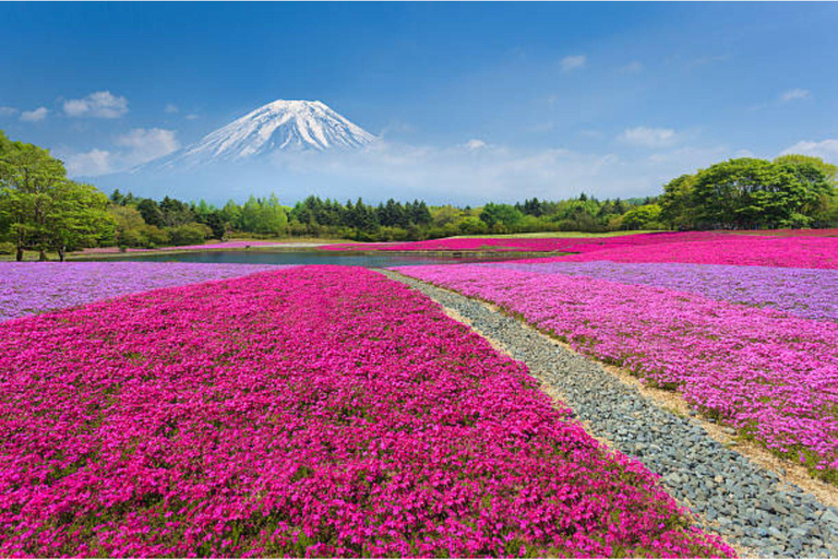 Mt Fuji Private Luxury Full-Day Tour with customization
