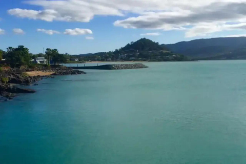 Airlie Beach : location de kayak d&#039;une durée d&#039;une heure et demie au départ de Shingley Beach