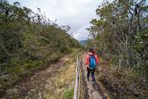 From Bogota: Explore the town of Guatavita, the lagoon and the "Casa Loca".