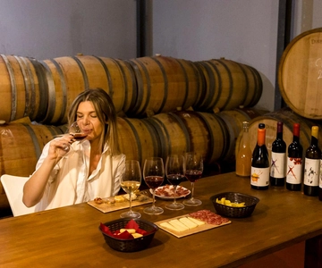 Malaga: Vineyard and Cellar Visit with 6 Top Wines and tapas
