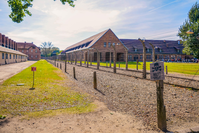 Da Cracovia: Tour di Auschwitz-Birkenau con trasporto di un giornoDal centro città: Tour con punto d'incontro e pranzo