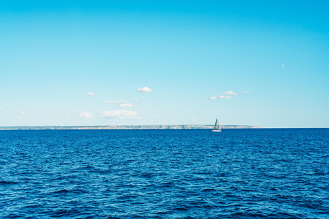 Palma de Majorque : fête en bateau tout compris pendant la journéePalma de Majorque : excursion en bateau tout compris