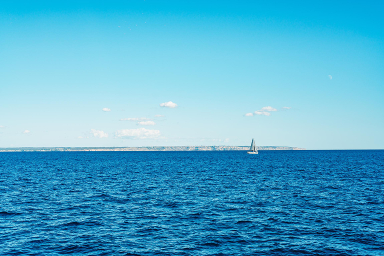 Palma de Majorque : fête en bateau tout compris pendant la journéePalma de Majorque : excursion en bateau tout compris