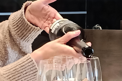 Rioja: Wine Tour with a Local Expert with Tastings