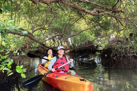 Kanoën in de mangrove in Jakarta