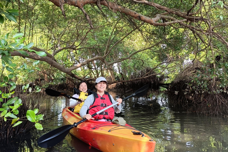 Experiência de canoagem nos mangais de Jacarta