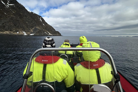 هونينغسفاغ سلطعون ملك شمال كيب الشمالي وسفاري الحياة البرية في القطب الشمالي