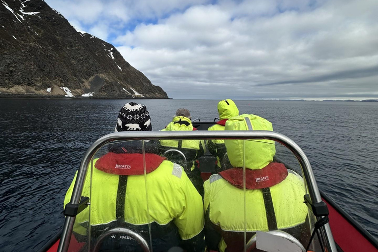 هونينغسفاغ سلطعون ملك شمال كيب الشمالي وسفاري الحياة البرية في القطب الشمالي