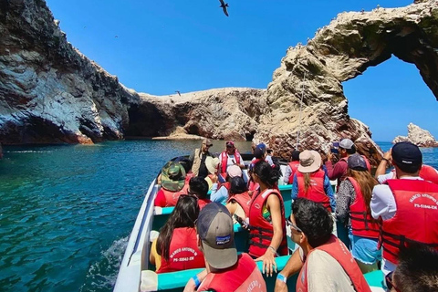 Luxury Private Tour from Lima: Ballestas, Vineyards, and Adrenaline-Fueled Buggy Ride Luxury Private Tour from Lima: Ballestas, Vineyards, and Adrenaline-Packed Buggy Ride
