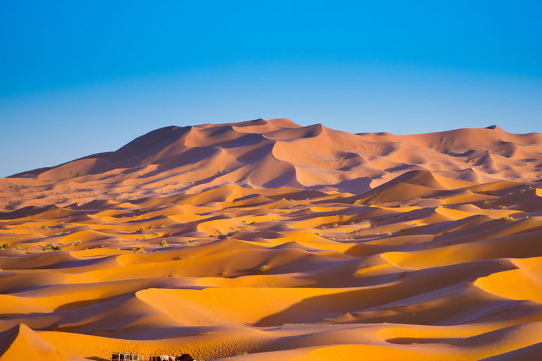 From Marrakech: Private 4-Day Tour To Merzouga & Luxury Camp From Marrakech: 4-Day Private premium Trip & Luxury camp.