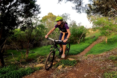 Mountain Bike in Northen Forests of Gran Canaria