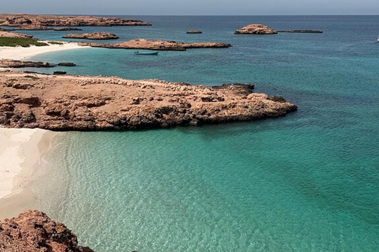 Visite de l'île de Dimaniyat avec plongée en apnée