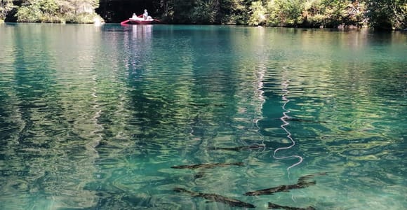 Lucerne : Interlaken and Lauterbrunnen Day Tour