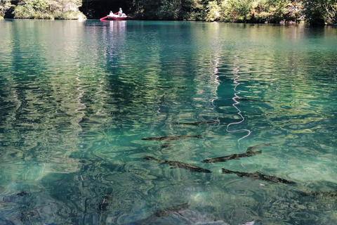 Lucerne : Interlaken and Lauterbrunnen Day Tour