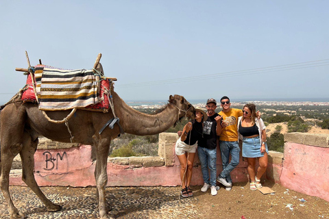 From Marrakech: Essaouira Day Trip with Free Time to Explore From Marrakech: Private Day Trip to Essaouira