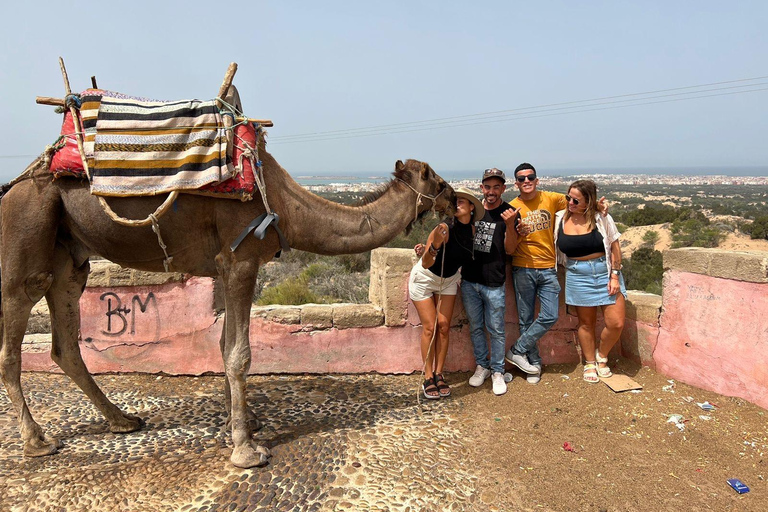 From Marrakech: Essaouira Day Trip with Free Time to Explore From Marrakech: Private Day Trip to Essaouira