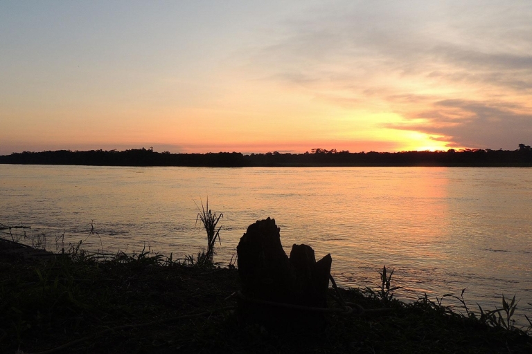 Iquitos || 2 jours en Amazonie, merveille naturelle du monde