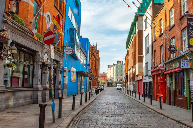 Best of Dublin: Private Walking Tour with a Local Private City Walking Tour - 6Hr
