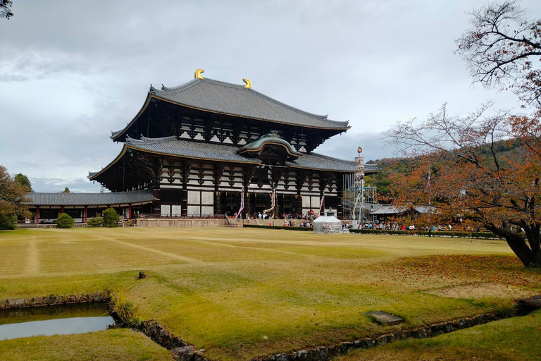 Tokyo-Kamakura-Hakone-Mt.Fuji-Nara-Kyoto-Osaka: tour di 3 giorniTour di 3 giorni: Tokyo, Kamakura, Hakone, Fuji, Nara, Kyoto, Osaka