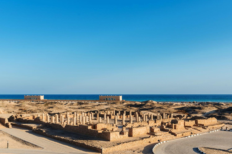 Stadsrondleiding Salalah: hele dag4WD - 4 personen