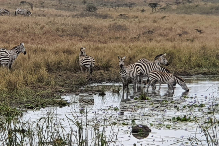 Safari till Amboseli med övernattning i grupp från Nairobi