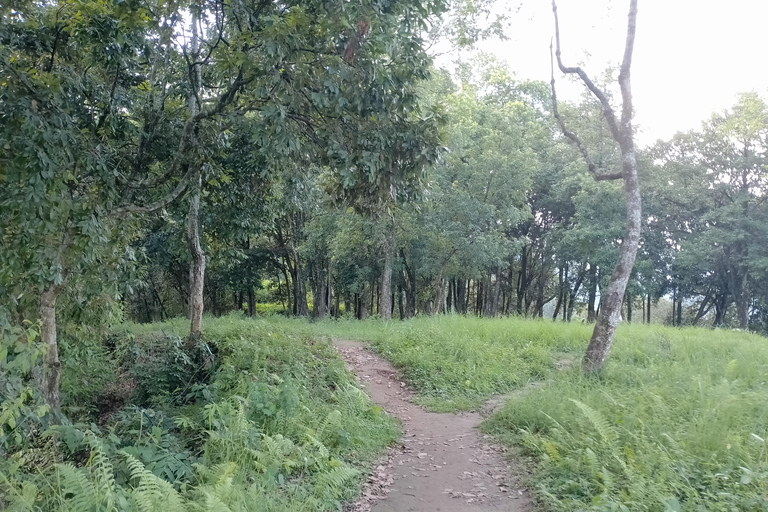 Short and Sweet: 3-Hour Hike with Views from Pokhara