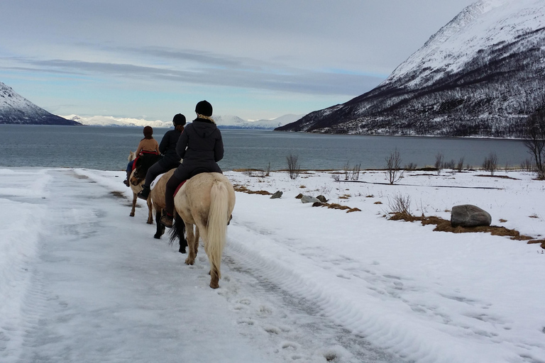 Tromsø: Experiencia de montar a caballo en Lyngen