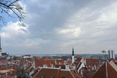 Tallinn: Old Town Walking Tour with Guide