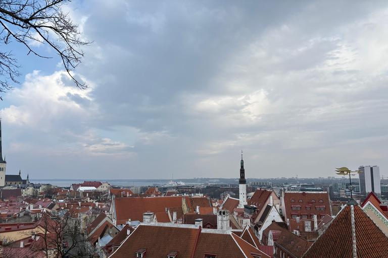 Tallinn: Old Town Walking Tour with Guide