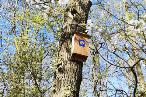 Koblenz: De levende wijngaard, natuur & wijngenot