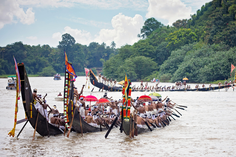 From Cochin: Munnar and Alleppey 4-Day Tour with Houseboat