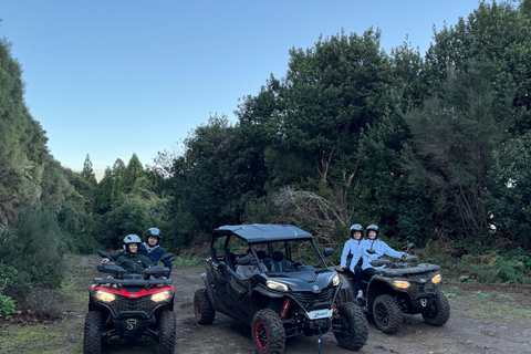 Passeio de buggy na Madeira – Floresta Selvagem e Vistas para a Montanha (4 lugares)Madeira: Passeio de Buggy Off Road (4 lugares)