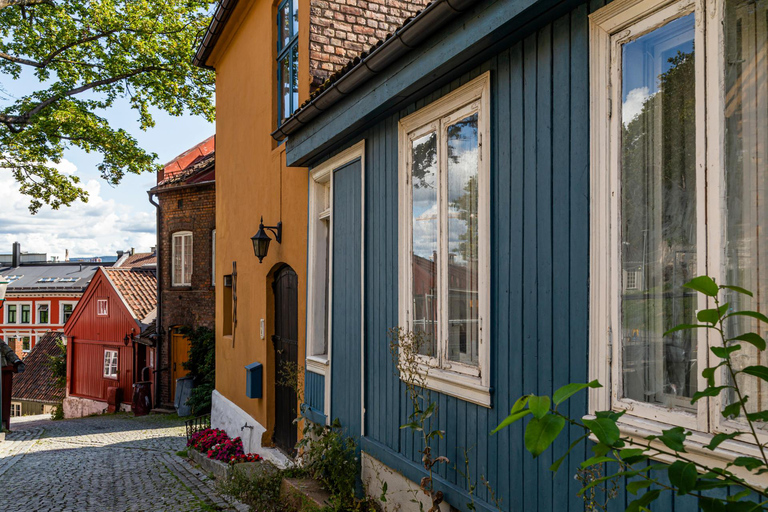 Oslo Oude Stad Hoogtepunten Privé Wandeltour