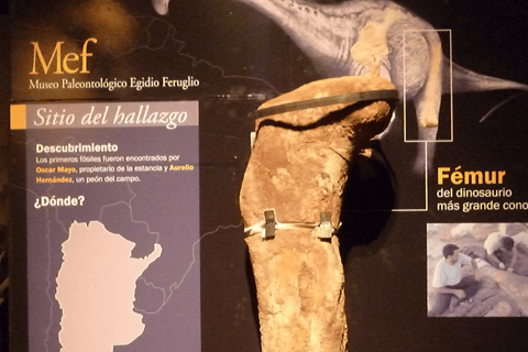 Valley + Paleontological Museum for cruise passengers