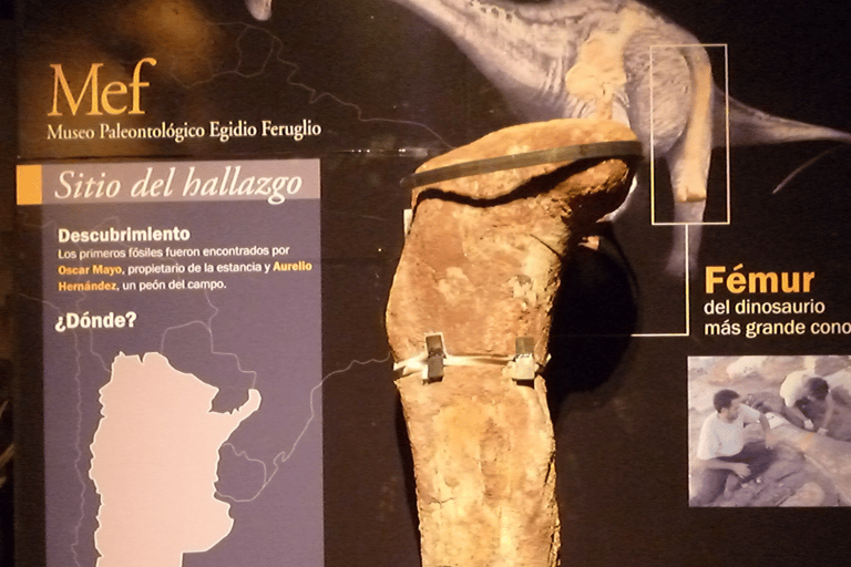 Valley + Paleontological Museum for cruise passengers