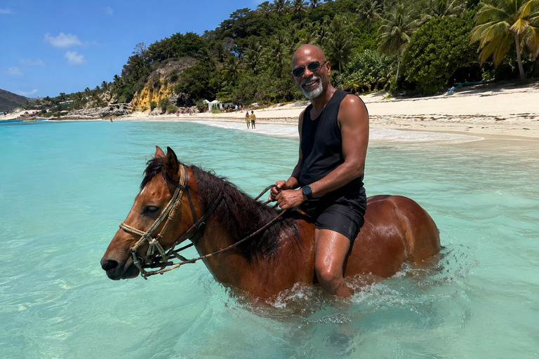 St. Maarten: Scenic Horseback Ride & Caribbean Sea Swim