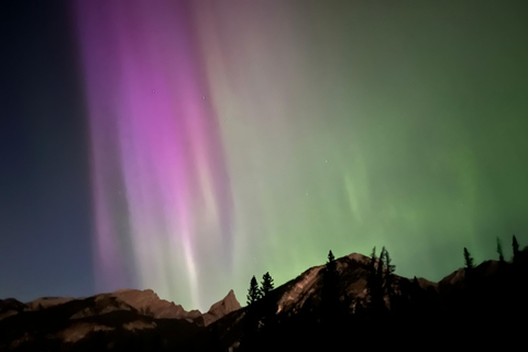 Banff/Canmore: PRIVATE Stargazing & Northern Lights Tour