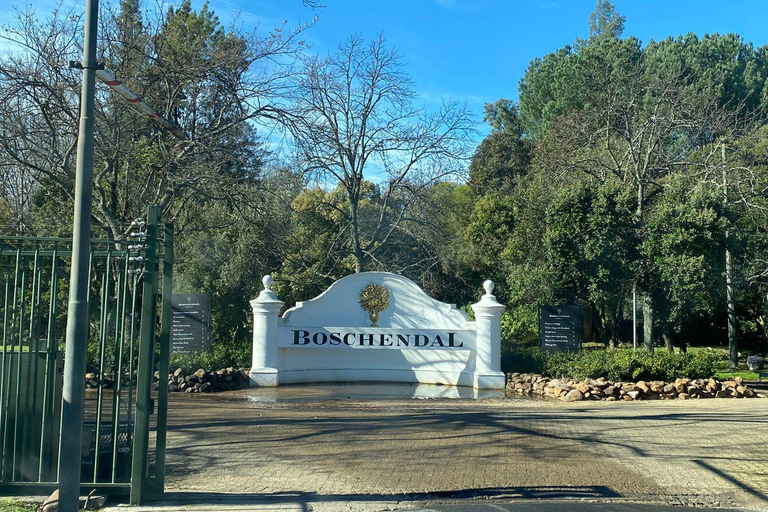 Cape Town: Cape Winelands and Vineyard Tour with Guide